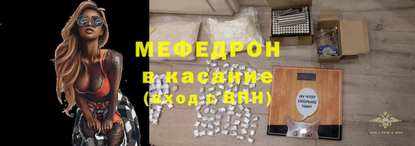 индика Алексин