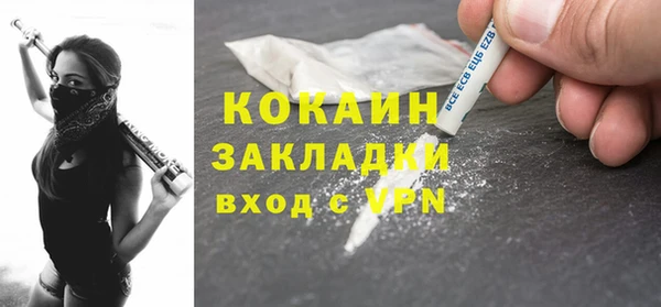 индика Алексин