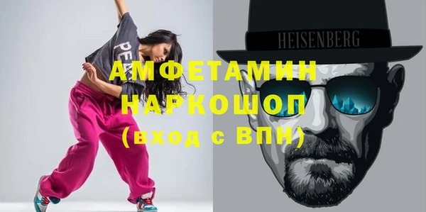индика Алексин