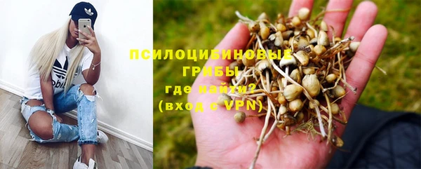 МДПВ Алексеевка